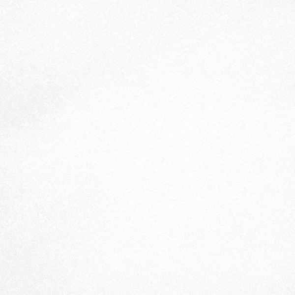 Comprar PISO SANTA JULIA GEOS BLANCO 33.6 CM X 33.6 CM. Pisos y azulejos en México