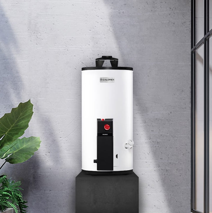 Comprar CALOREX DEPOSITO MAXIMUS G10 GAS NATURAL. Pisos y azulejos en México