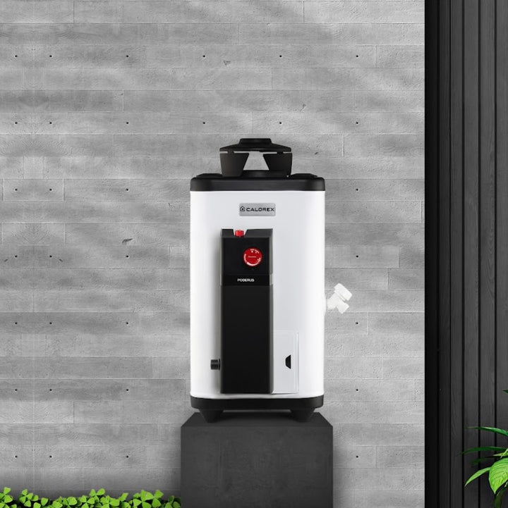 Comprar CALOREX PODERUS DE PASO 6 L/MIN. GAS LP. Pisos y azulejos en México