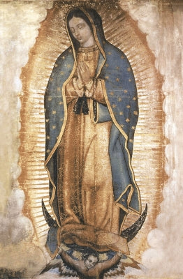 INSERTO TECNOPISO VIRGEN 59.5 CM X 89.5 CM